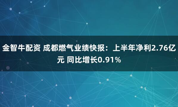 金智牛配资 成都燃气业绩快报：上半年净利2.76亿元 同比增长0.91%