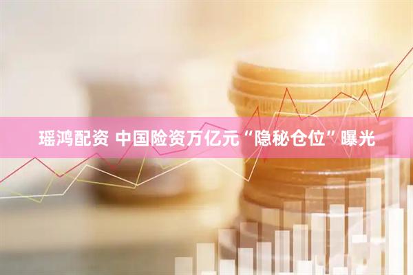 瑶鸿配资 中国险资万亿元“隐秘仓位”曝光