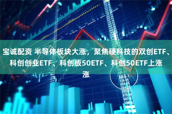 宝诚配资 半导体板块大涨，聚焦硬科技的双创ETF、科创创业ETF、科创板50ETF、科创50ETF上涨